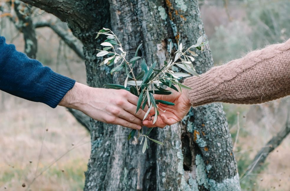 l'amour de la Provence