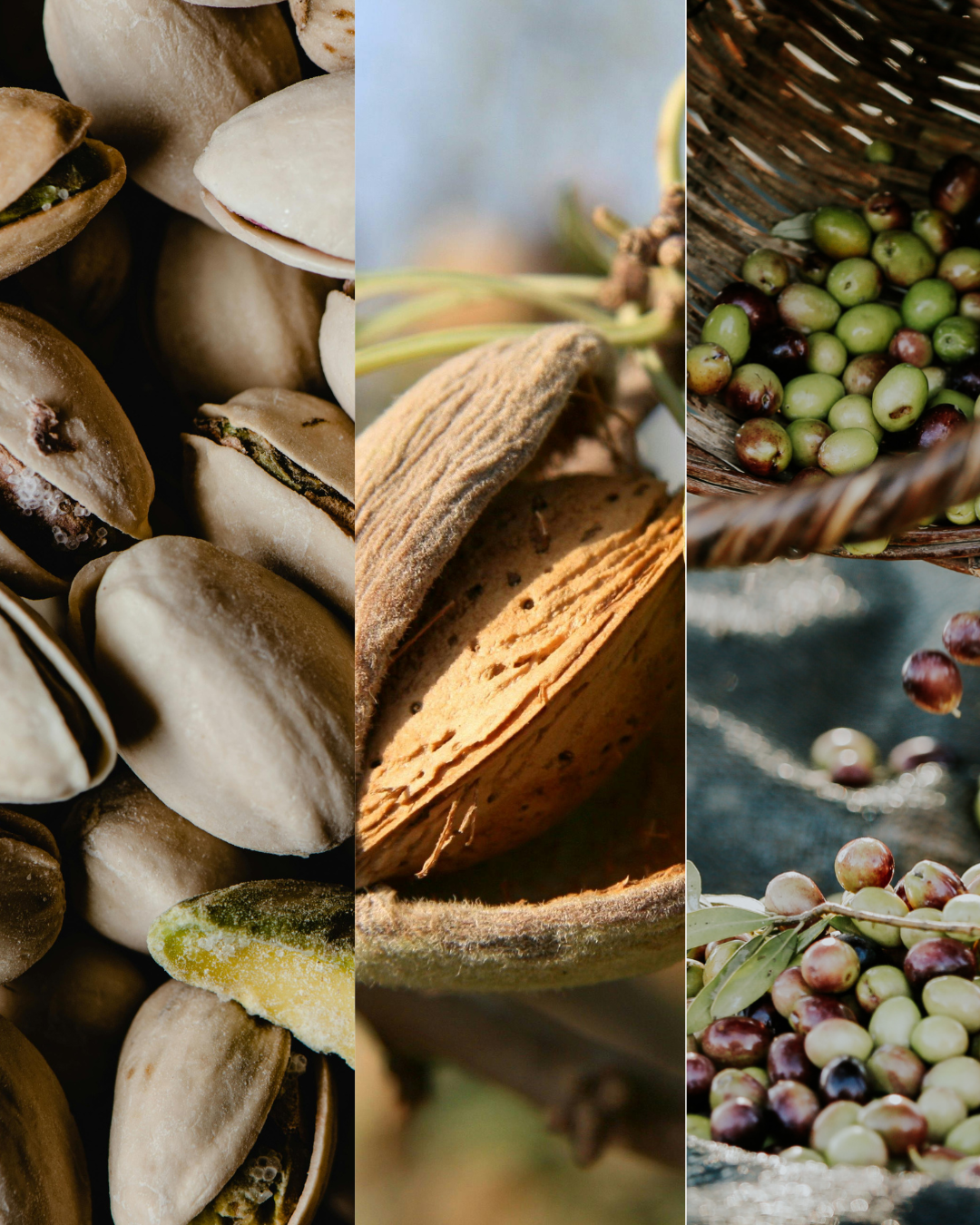 pistache, amande et olive