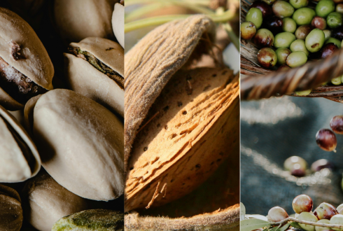 pistache, amande et olive
