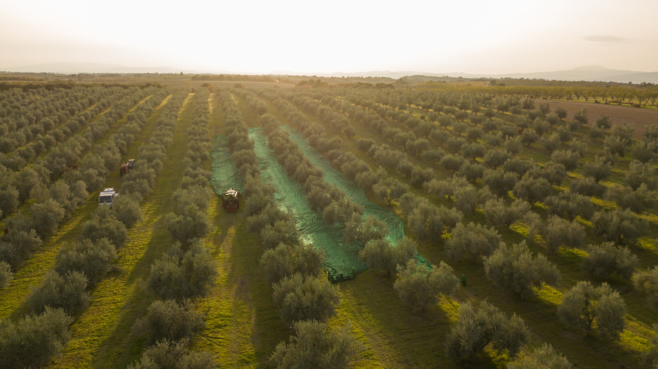 Domaine Les Grandes Marges