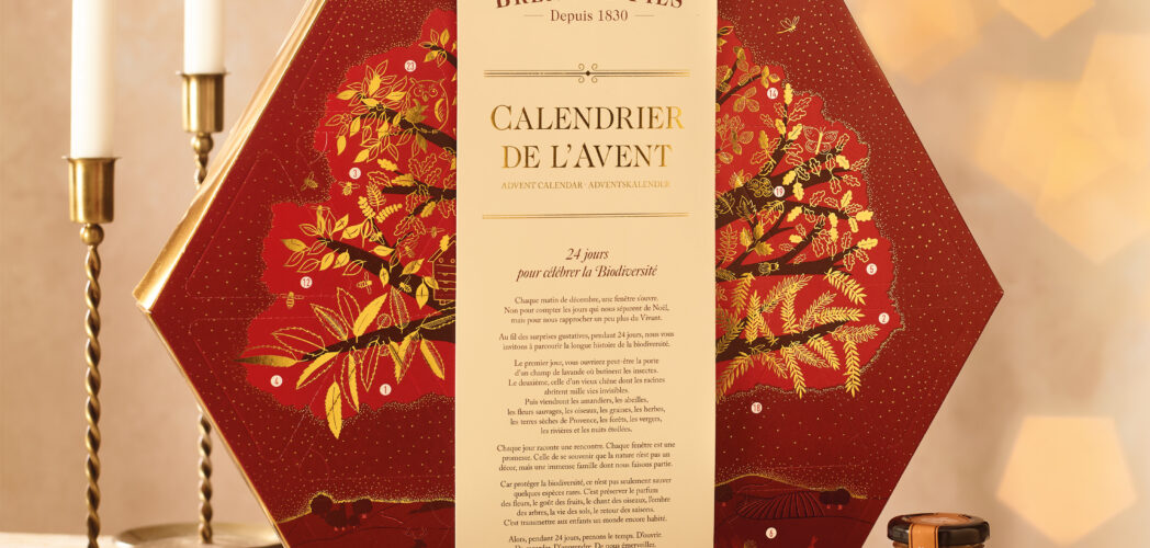 Calendrier de l'Avent 2026
