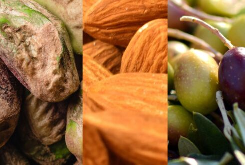 5e journée de la pistache de l'amande et de l'olive