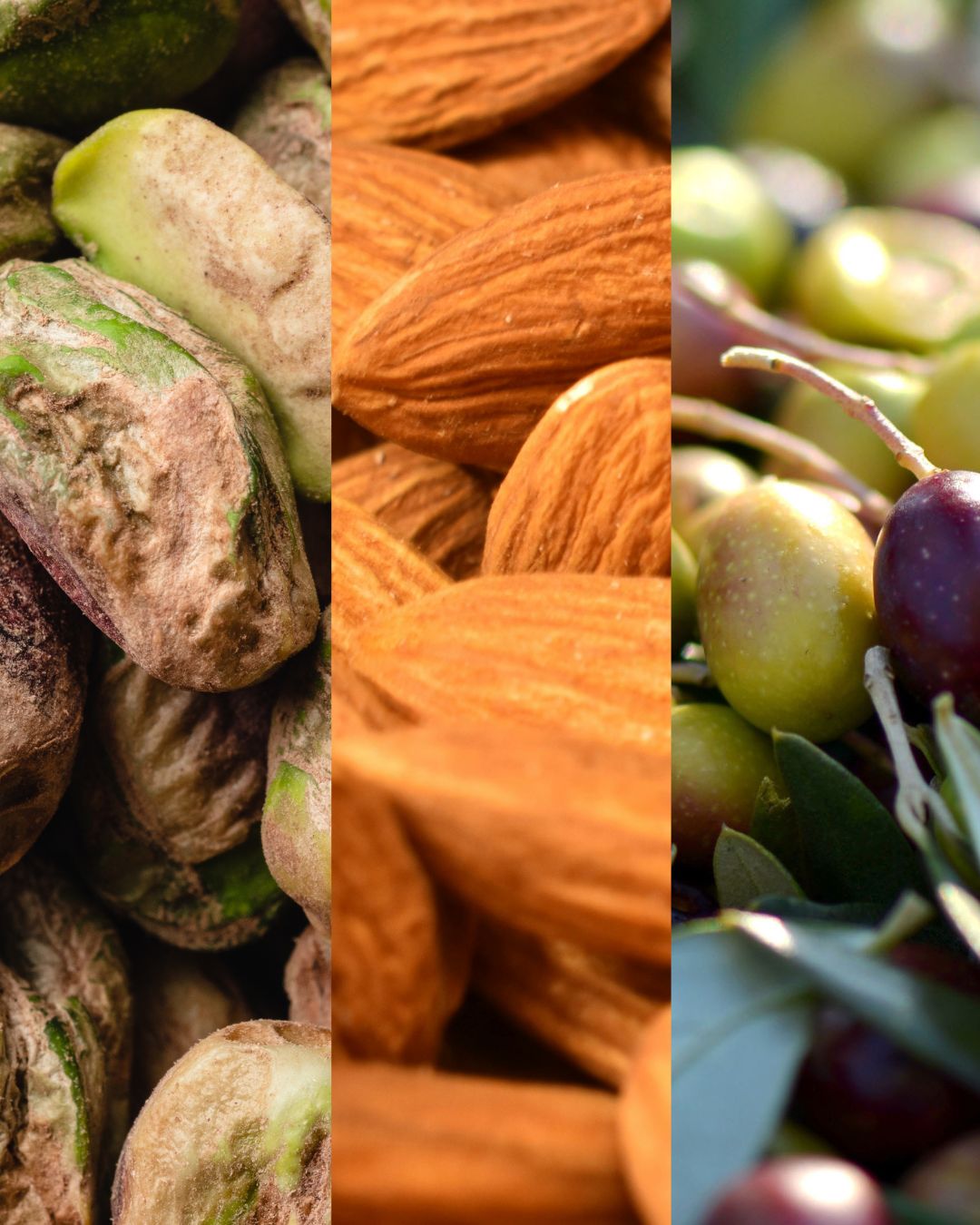 5e journée de la pistache, de l'amande et de l'olive